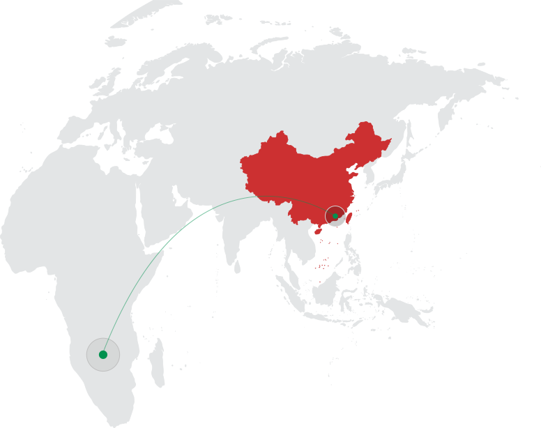 专业团队